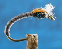 Fly